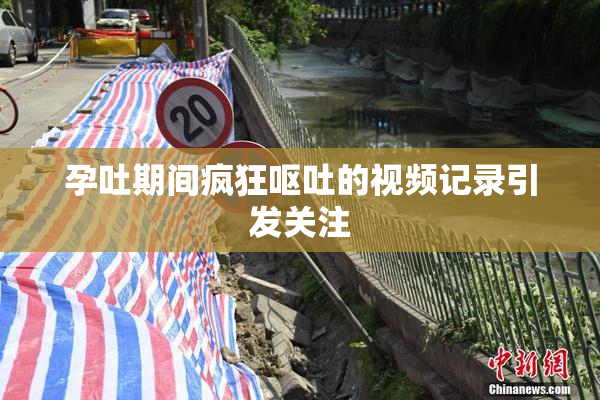 孕吐期间疯狂呕吐的视频记录引发关注