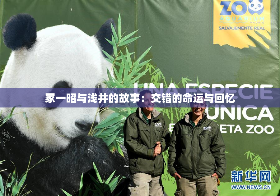 冢一昭与浅井的故事：交错的命运与回忆