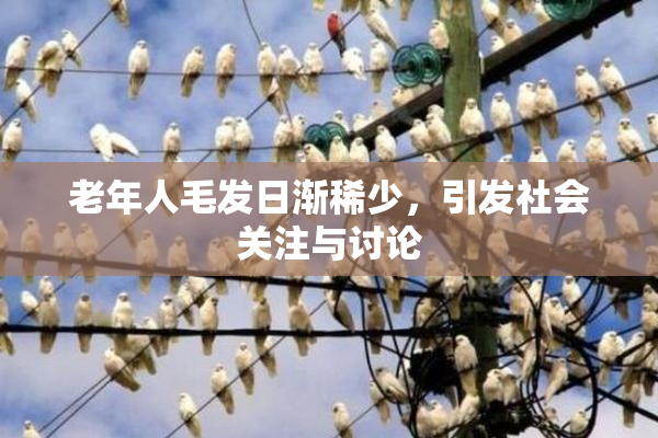 老年人毛发日渐稀少，引发社会关注与讨论