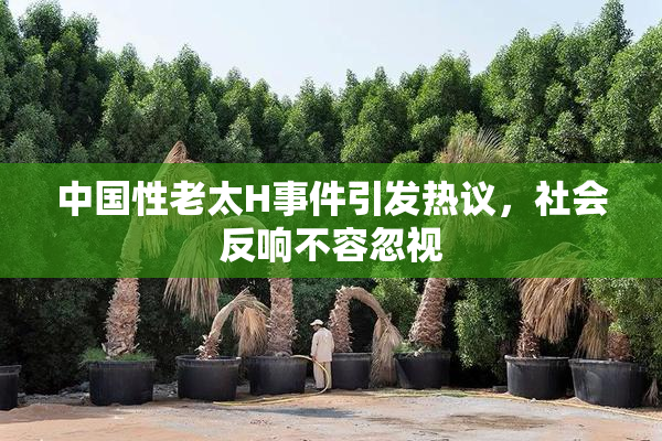 中国性老太H事件引发热议，社会反响不容忽视