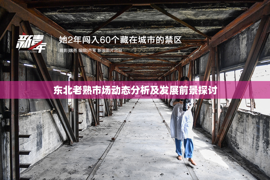 东北老熟市场动态分析及发展前景探讨