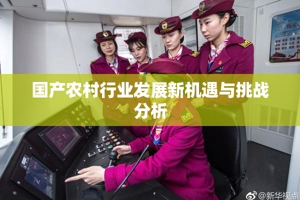 国产农村行业发展新机遇与挑战分析