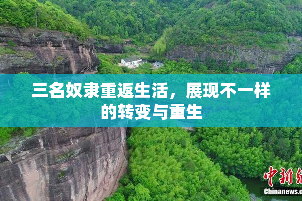 三名奴隶重返生活，展现不一样的转变与重生