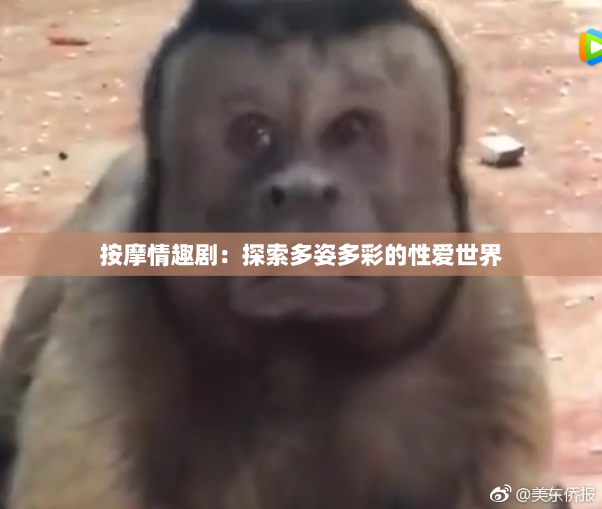 按摩情趣剧：探索多姿多彩的性爱世界