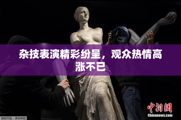 杂技表演精彩纷呈，观众热情高涨不已