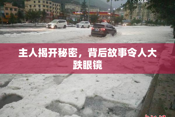 主人揭开秘密，背后故事令人大跌眼镜