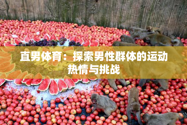 直男体育：探索男性群体的运动热情与挑战