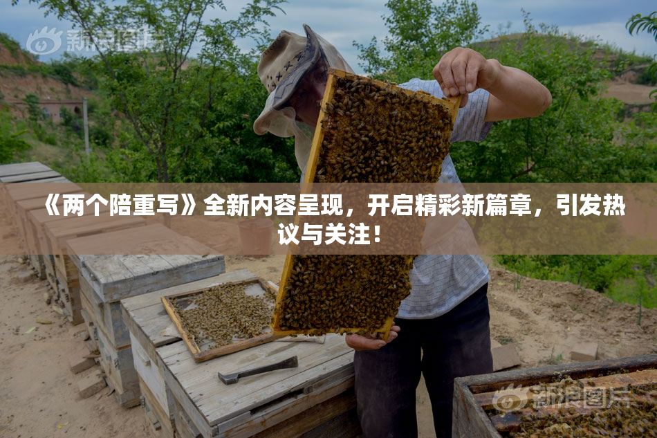 《两个陪重写》全新内容呈现，开启精彩新篇章，引发热议与关注！