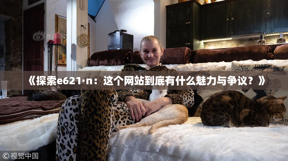 《探索e621·n：这个网站到底有什么魅力与争议？》