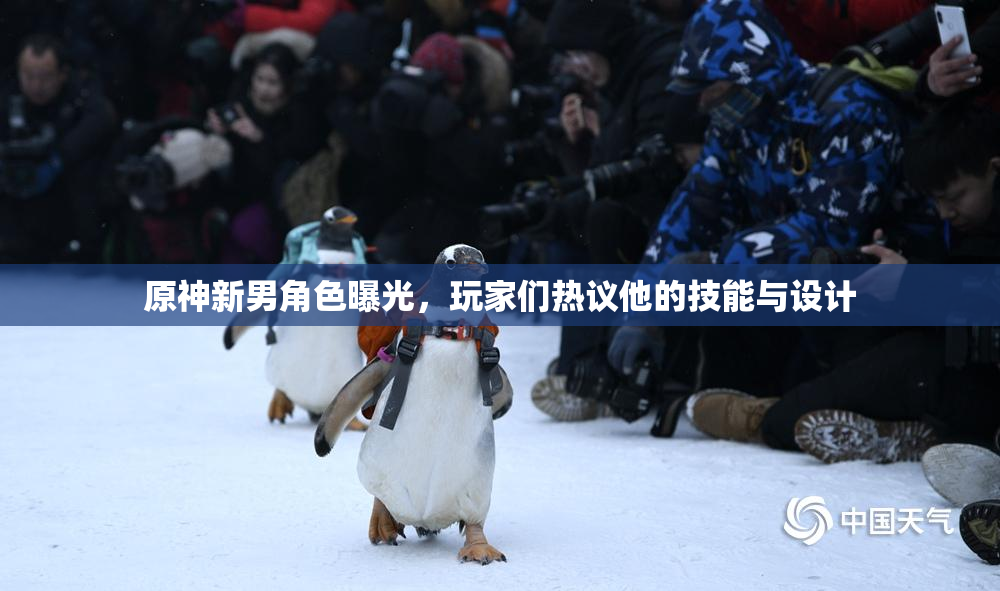 原神新男角色曝光，玩家们热议他的技能与设计