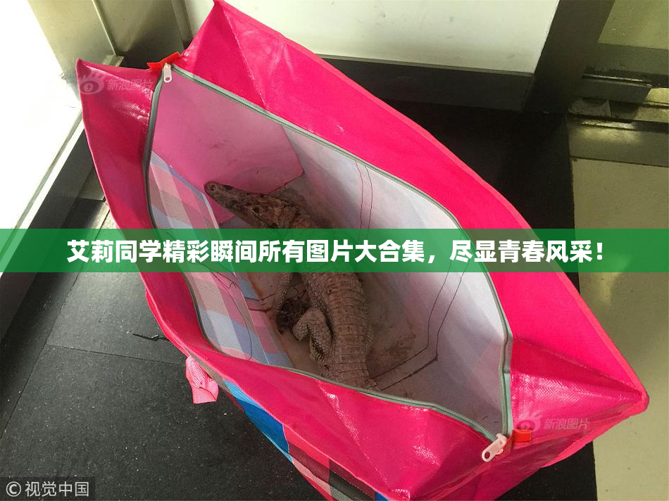 艾莉同学精彩瞬间所有图片大合集，尽显青春风采！