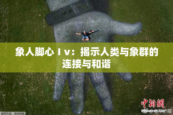 象人脚心Ⅰv：揭示人类与象群的连接与和谐