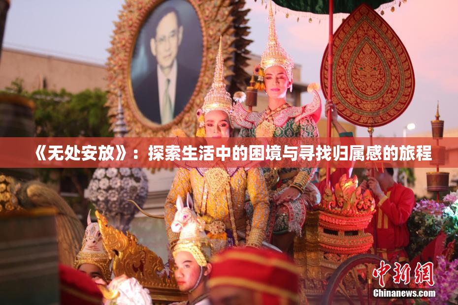 《无处安放》：探索生活中的困境与寻找归属感的旅程