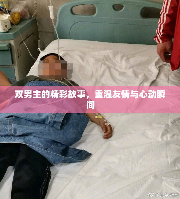 双男主的精彩故事，重温友情与心动瞬间