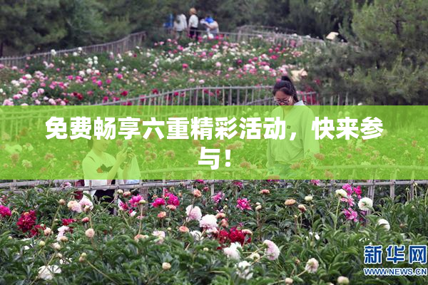 免费畅享六重精彩活动，快来参与！