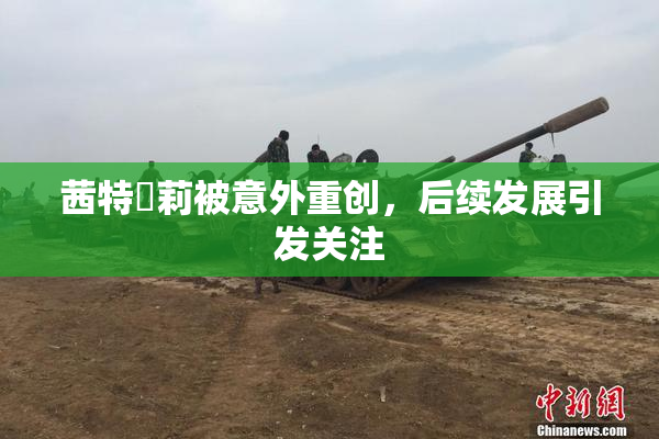 茜特菈莉被意外重创，后续发展引发关注