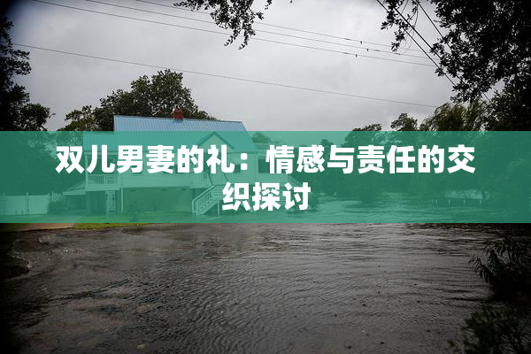 双儿男妻的礼：情感与责任的交织探讨