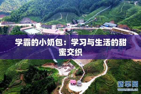 学霸的小奶包：学习与生活的甜蜜交织