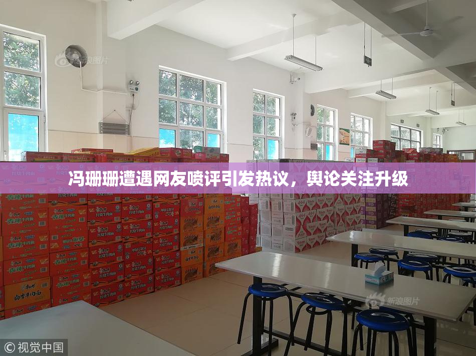 冯珊珊遭遇网友喷评引发热议，舆论关注升级