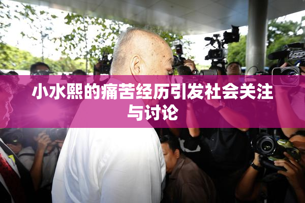 小水熙的痛苦经历引发社会关注与讨论