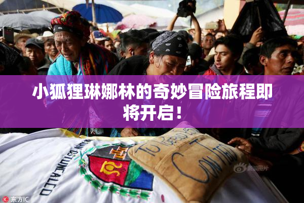 小狐狸琳娜林的奇妙冒险旅程即将开启！