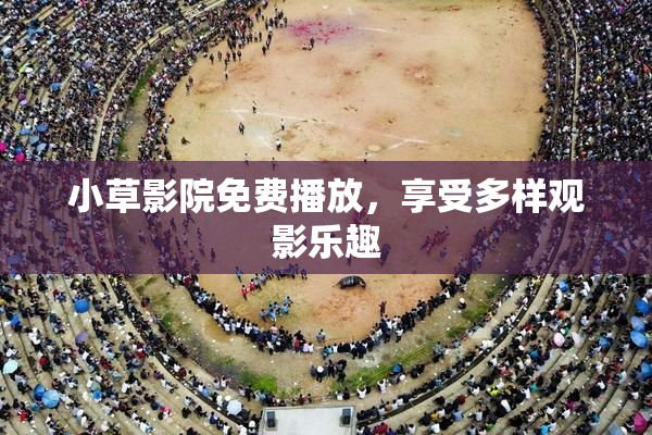 小草影院免费播放，享受多样观影乐趣