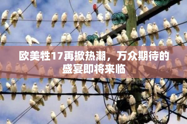 欧美牲17再掀热潮，万众期待的盛宴即将来临