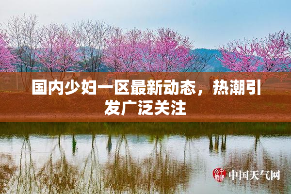 国内少妇一区最新动态，热潮引发广泛关注