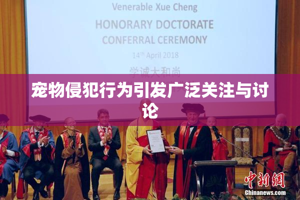 宠物侵犯行为引发广泛关注与讨论