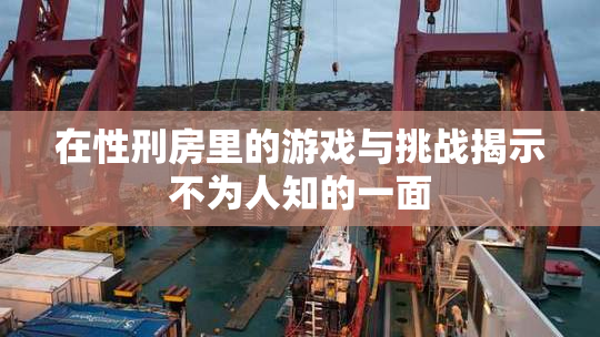 在性刑房里的游戏与挑战揭示不为人知的一面