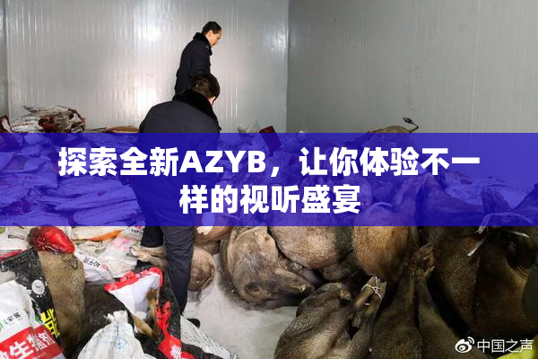 探索全新AZYB，让你体验不一样的视听盛宴