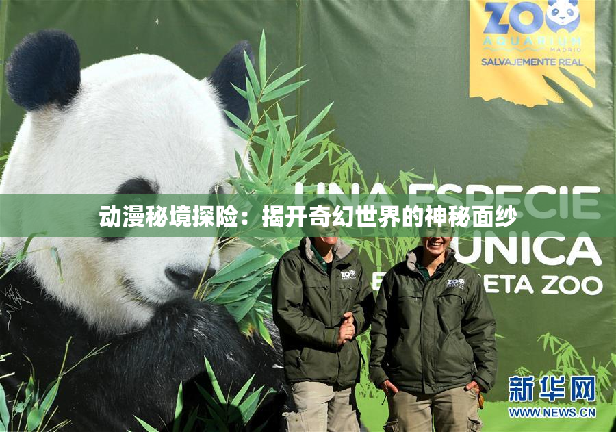 动漫秘境探险：揭开奇幻世界的神秘面纱