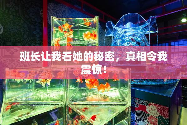 班长让我看她的秘密，真相令我震惊！