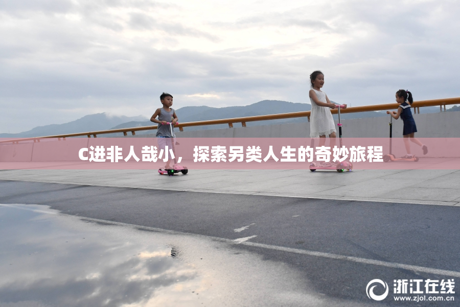 C进非人哉小，探索另类人生的奇妙旅程