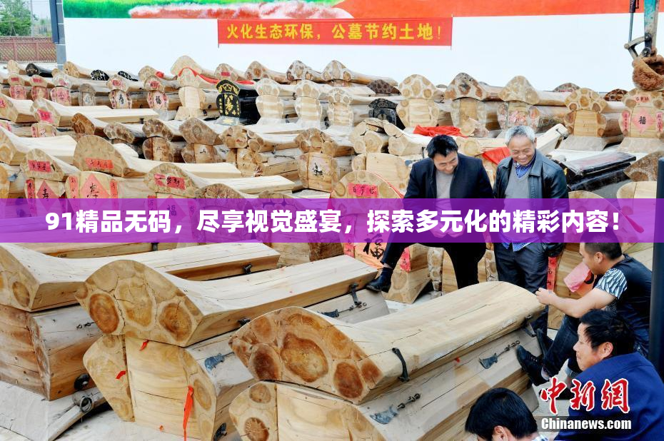 91精品无码，尽享视觉盛宴，探索多元化的精彩内容！