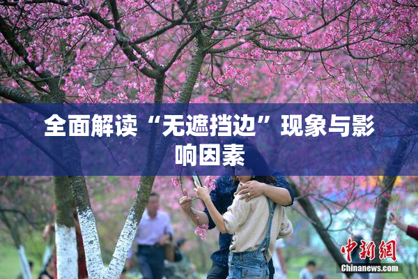 全面解读“无遮挡边”现象与影响因素