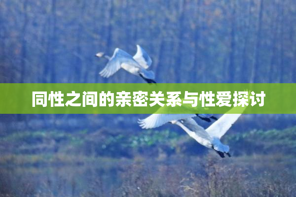 同性之间的亲密关系与性爱探讨