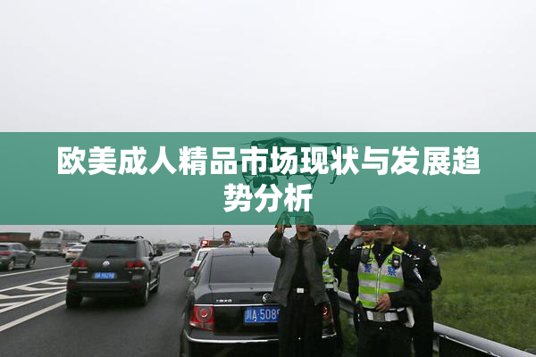 欧美成人精品市场现状与发展趋势分析