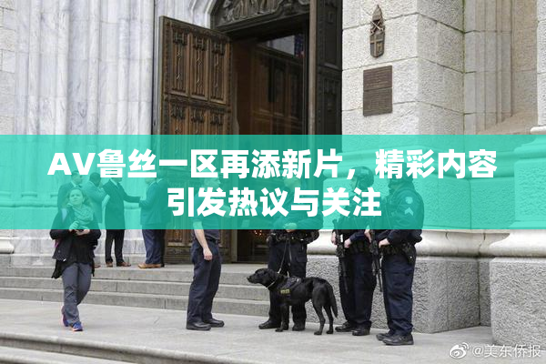 AV鲁丝一区再添新片，精彩内容引发热议与关注