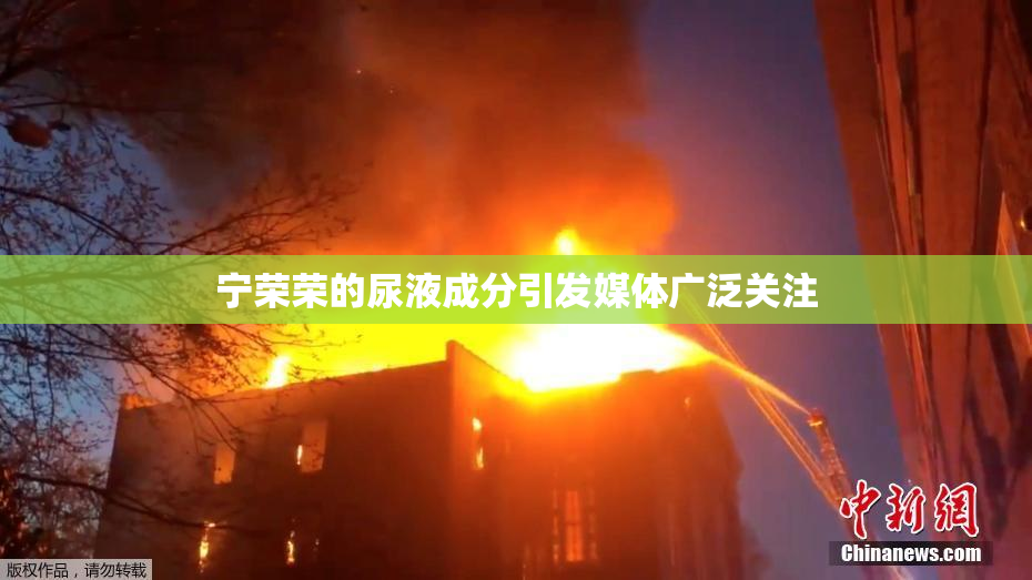 宁荣荣的尿液成分引发媒体广泛关注