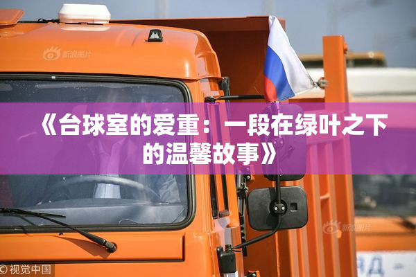 《台球室的爱重：一段在绿叶之下的温馨故事》