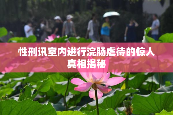 性刑讯室内进行浣肠虐待的惊人真相揭秘