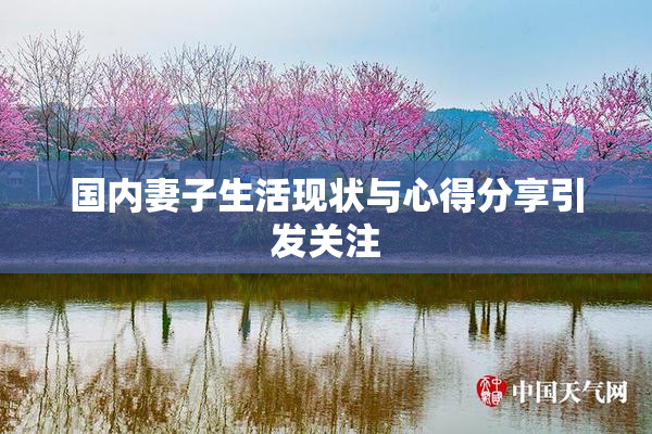 国内妻子生活现状与心得分享引发关注