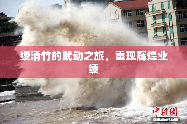 绫清竹的武动之旅，重现辉煌业绩