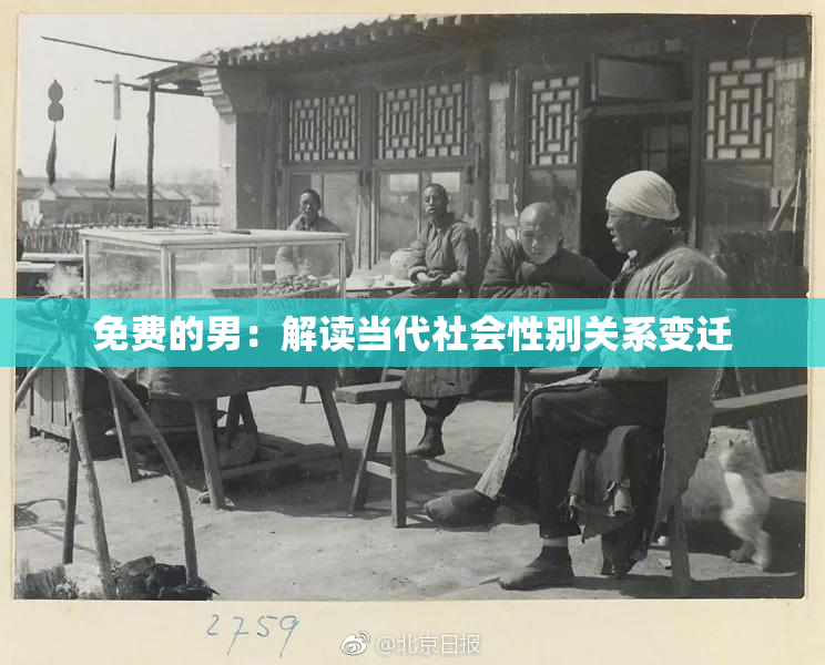 免费的男：解读当代社会性别关系变迁