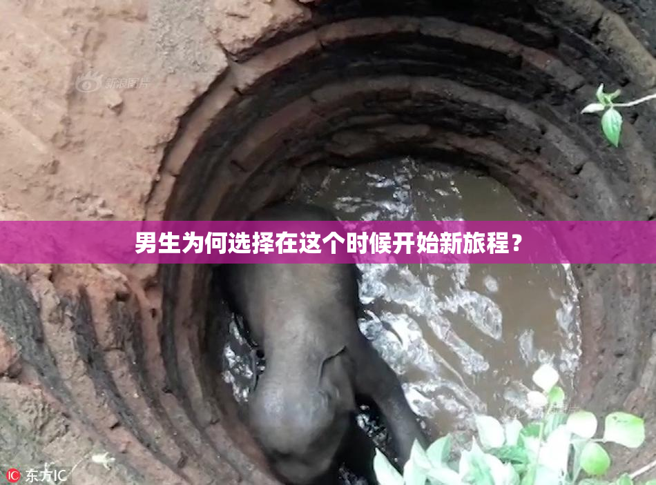 男生为何选择在这个时候开始新旅程？