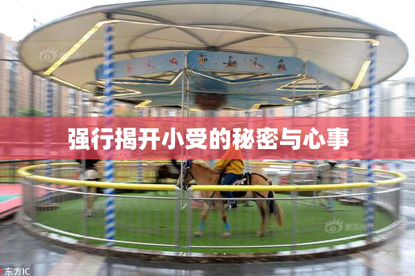 强行揭开小受的秘密与心事