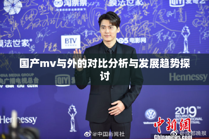 国产mv与外的对比分析与发展趋势探讨