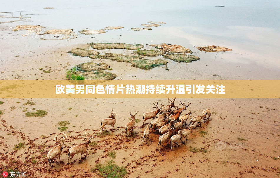 欧美男同色情片热潮持续升温引发关注