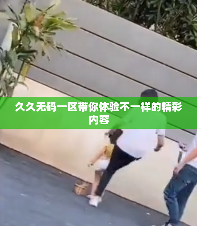 久久无码一区带你体验不一样的精彩内容